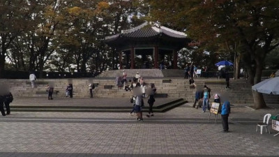 사계절 품은 도심 속 쉼터… 서울의 허파, 남산공원을 걷다