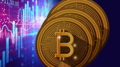 코인흐름 변화와 규제 공백이 키운 가상자산 불안